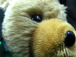 beige bear green ribbon face a